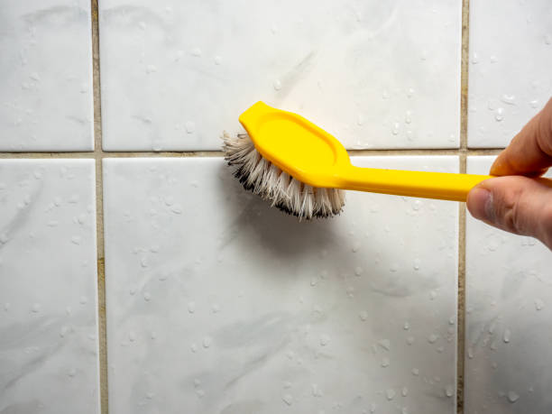 Best Certified Mold Removal  in Prairie Heights, WA