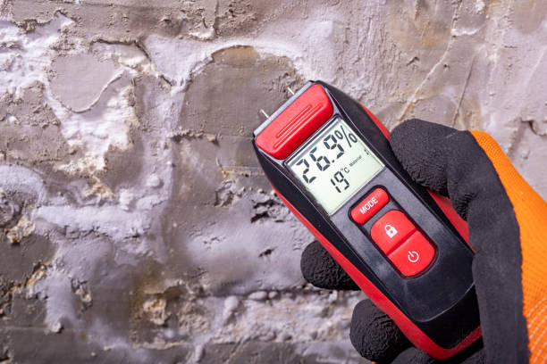Best Commercial Mold Removal  in Prairie Heights, WA