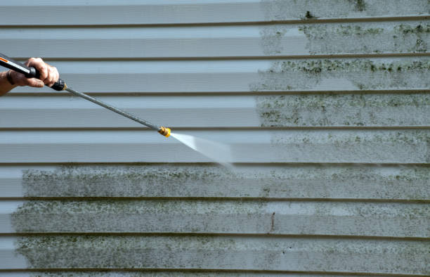 Mold Testing and Removal in Prairie Heights, WA