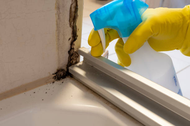 Water Damage Restoration in Prairie Heights, WA