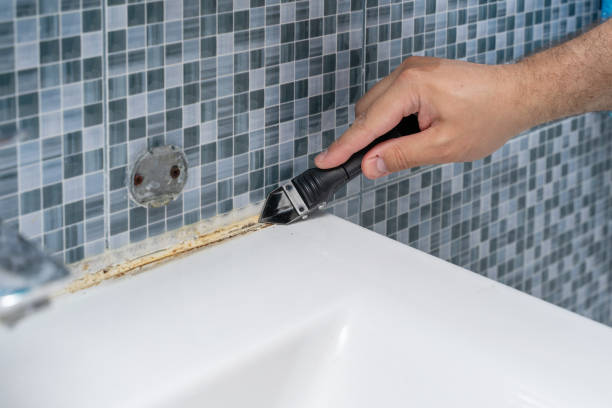 Best Mold Remediation  in Prairie Heights, WA