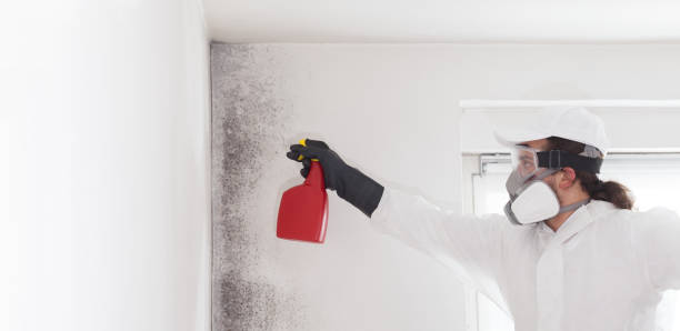 Best Mold Cleaning Services  in Prairie Heights, WA