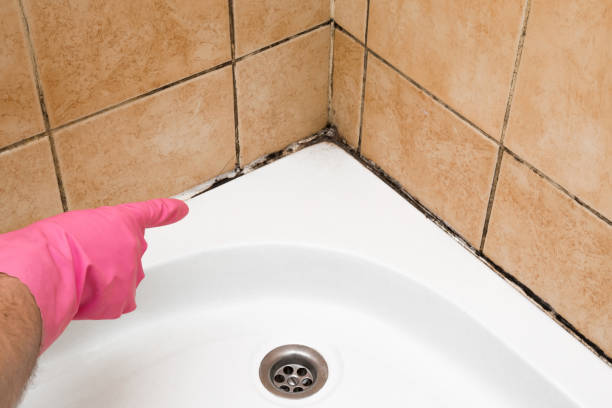 Best Emergency Mold Removal  in Prairie Heights, WA
